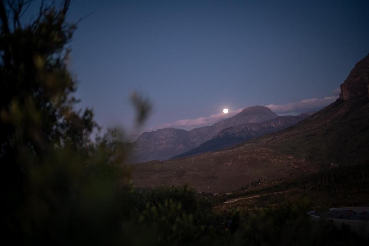 Untether On Olive View Веллингтон Экстерьер фото