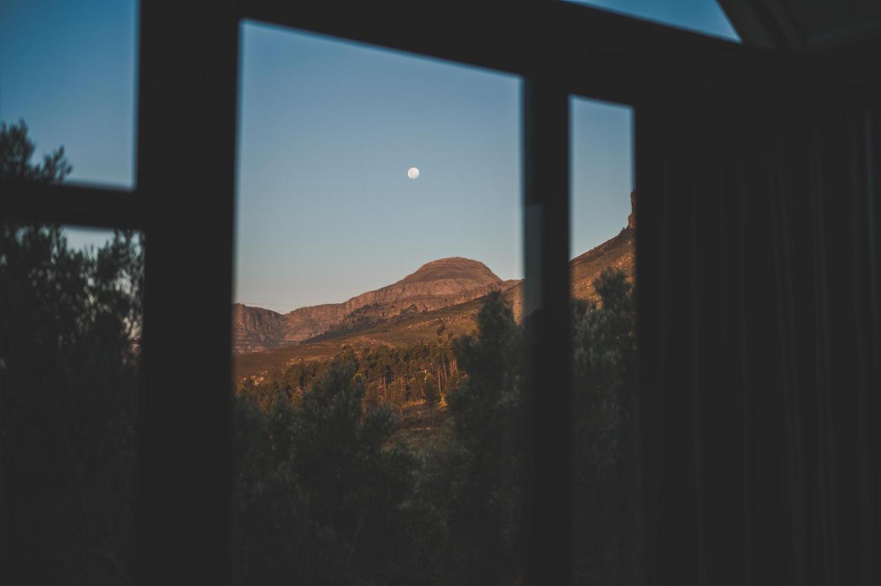Untether On Olive View Веллингтон Экстерьер фото